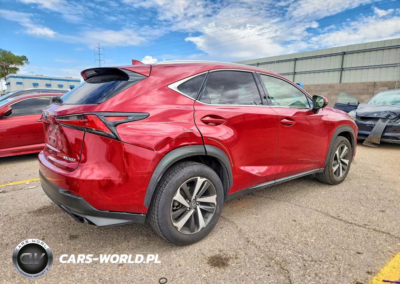 2020 Lexus Nx 300 VIN:JTJGARBZ4L5007243 - 3
