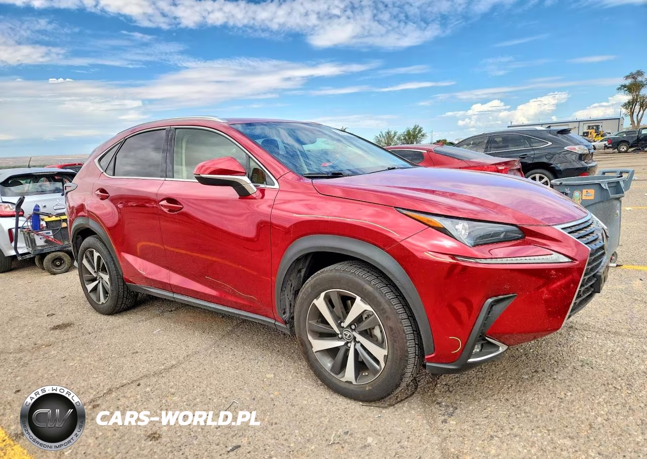 2020 Lexus Nx 300 VIN:JTJGARBZ4L5007243 - 4