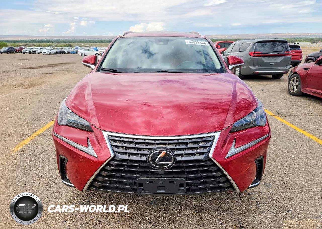 2020 Lexus Nx 300 VIN:JTJGARBZ4L5007243 - 5