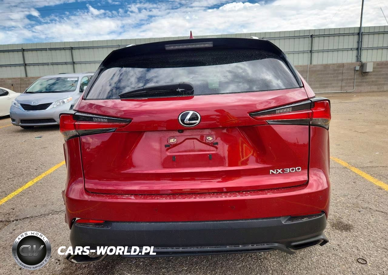 2020 Lexus Nx 300 VIN:JTJGARBZ4L5007243 - 6