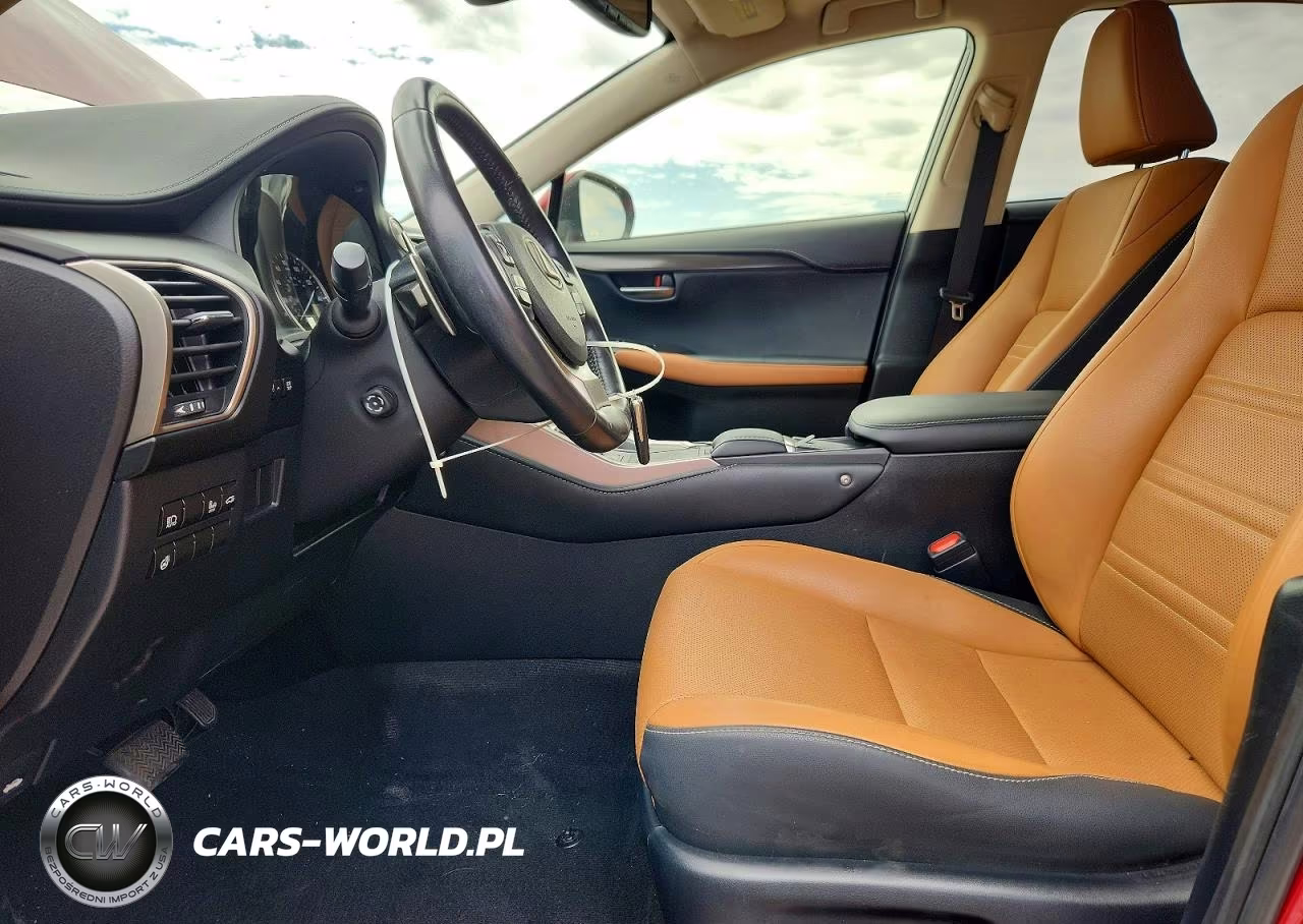 2020 Lexus Nx 300 VIN:JTJGARBZ4L5007243 - 7