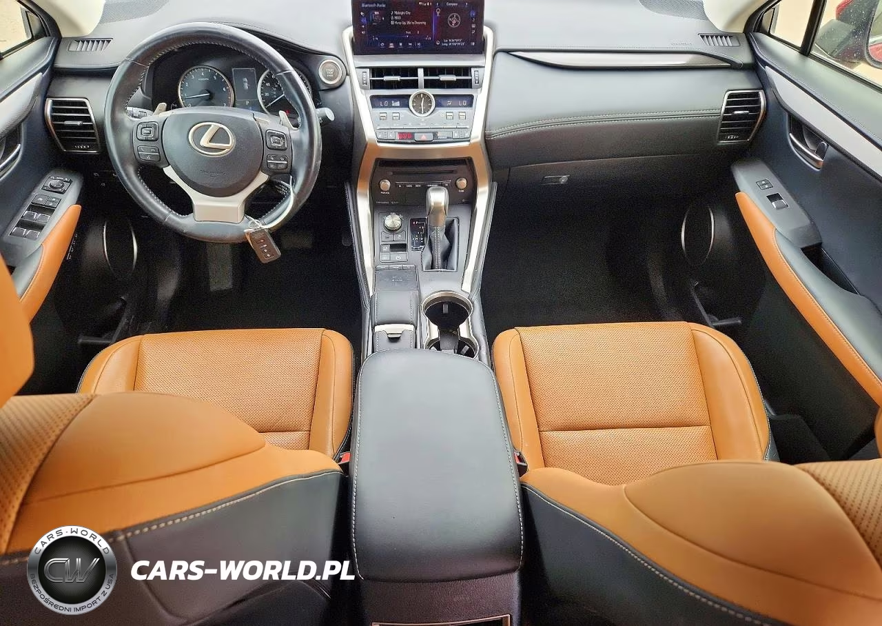 2020 Lexus Nx 300 VIN:JTJGARBZ4L5007243 - 8