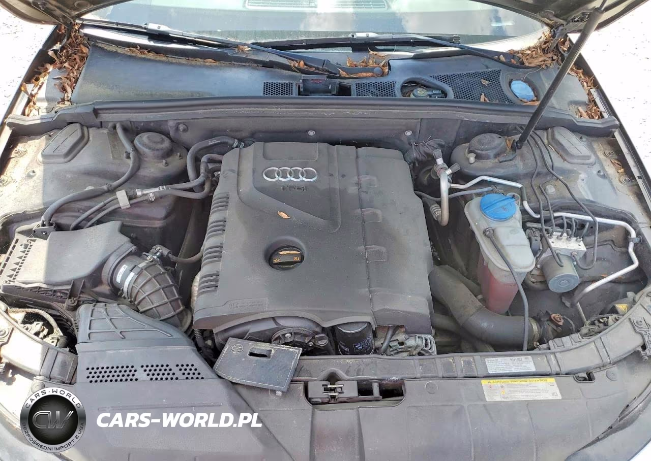 2013 Audi A4 Premium VIN:WAUDFAFL7DN028097 - 11