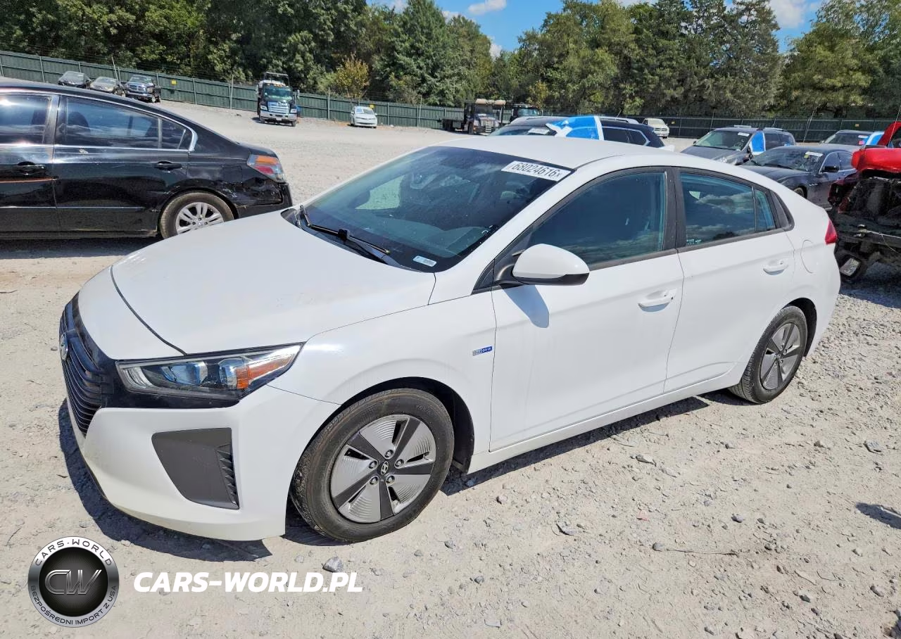 2019 Hyundai Ioniq Blue – zdjęcie 1 z 13