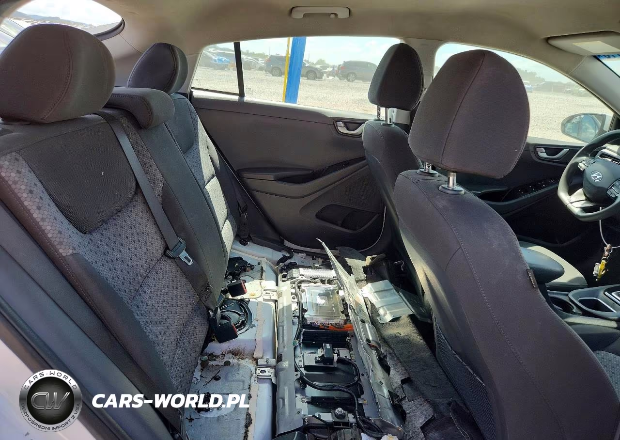 2019 Hyundai Ioniq Blue VIN:KMHC65LC6KU171213 - 10