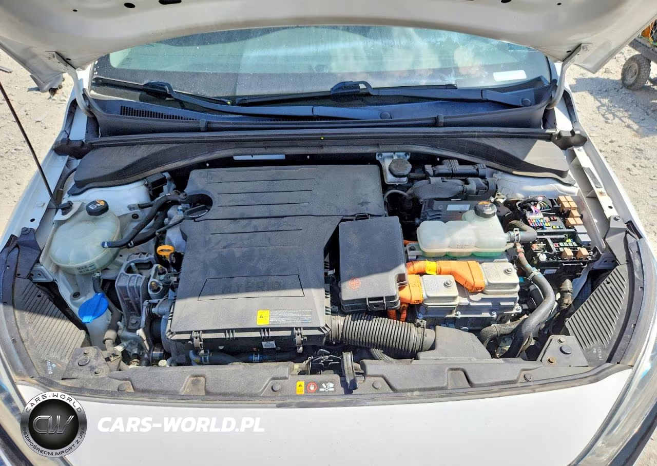 2019 Hyundai Ioniq Blue VIN:KMHC65LC6KU171213 - 11