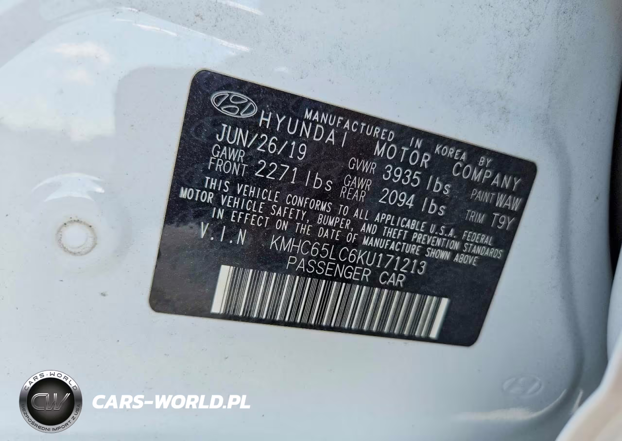 2019 Hyundai Ioniq Blue VIN:KMHC65LC6KU171213 - 13