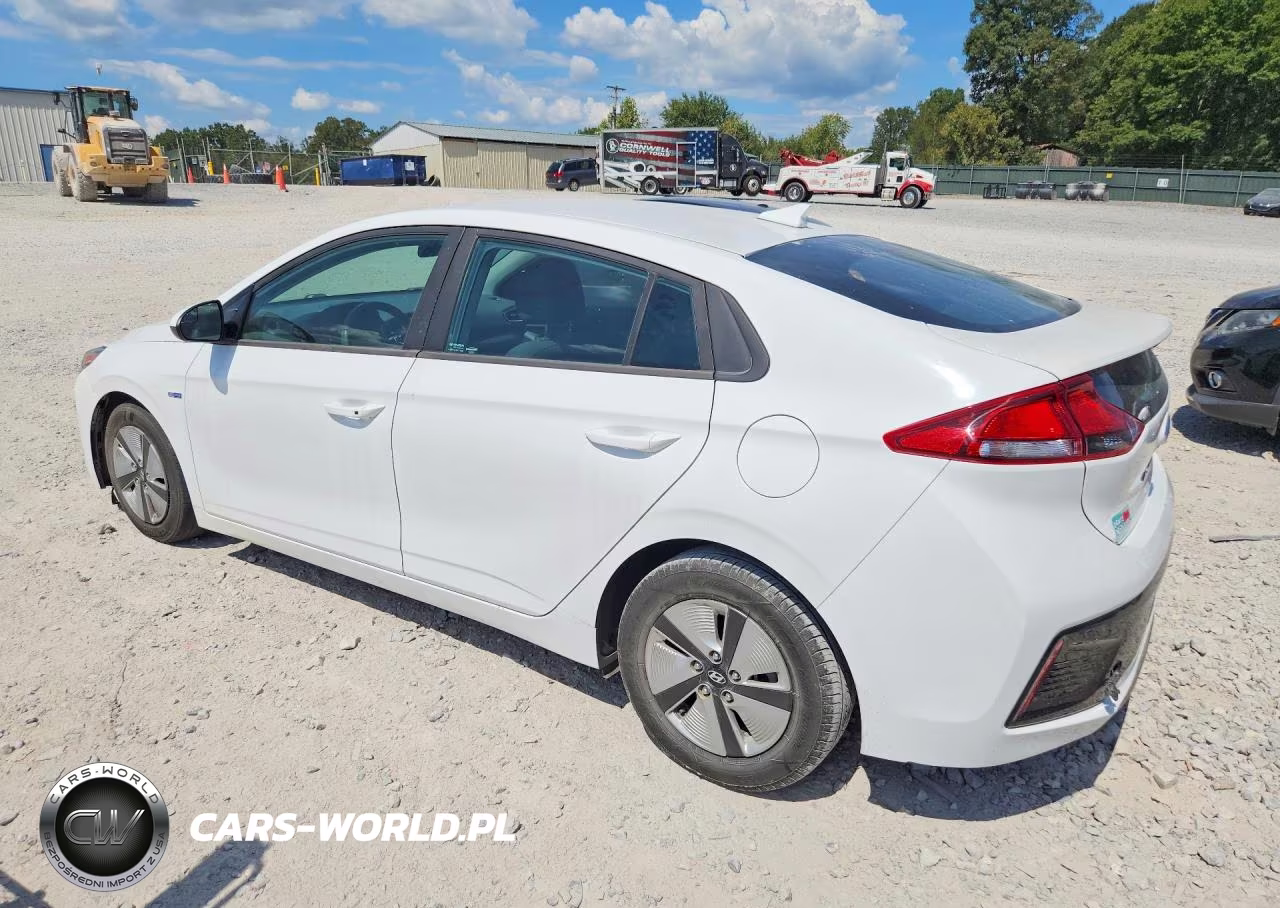 2019 Hyundai Ioniq Blue VIN:KMHC65LC6KU171213 - 2