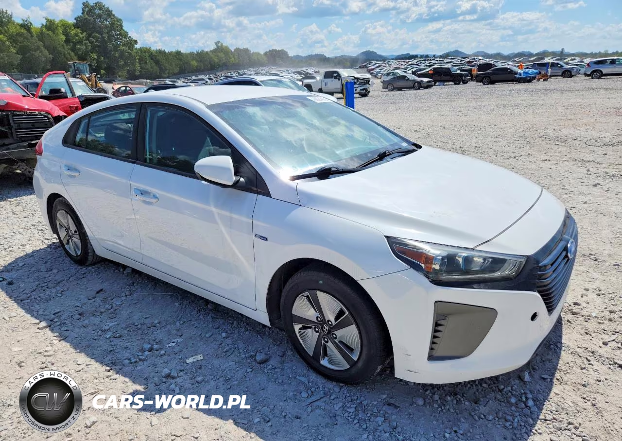 2019 Hyundai Ioniq Blue VIN:KMHC65LC6KU171213 - 4