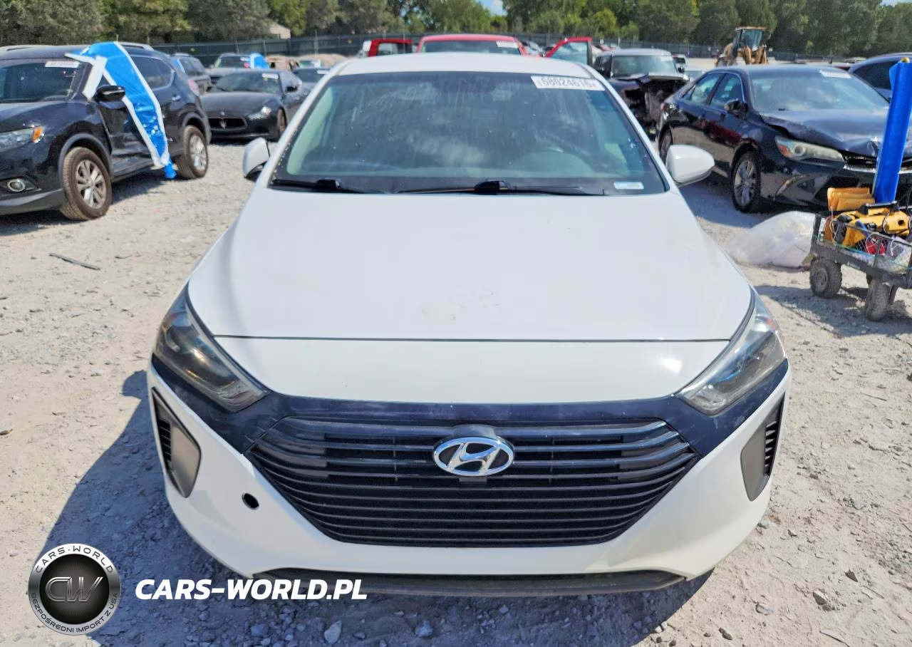 2019 Hyundai Ioniq Blue VIN:KMHC65LC6KU171213 - 5