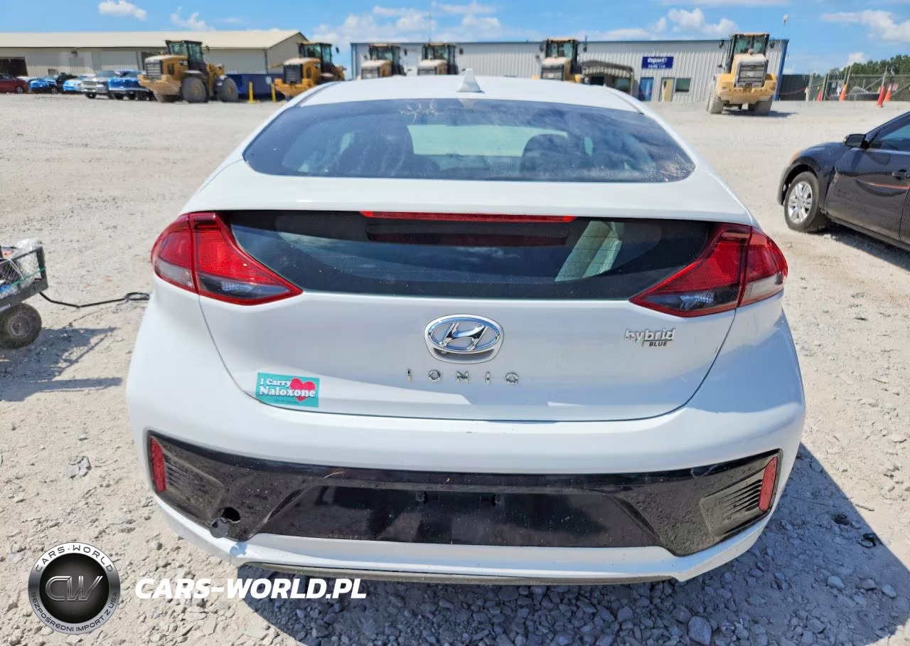 2019 Hyundai Ioniq Blue VIN:KMHC65LC6KU171213 - 6