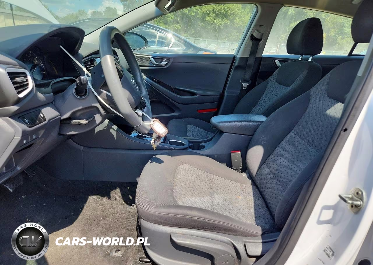 2019 Hyundai Ioniq Blue VIN:KMHC65LC6KU171213 - 7