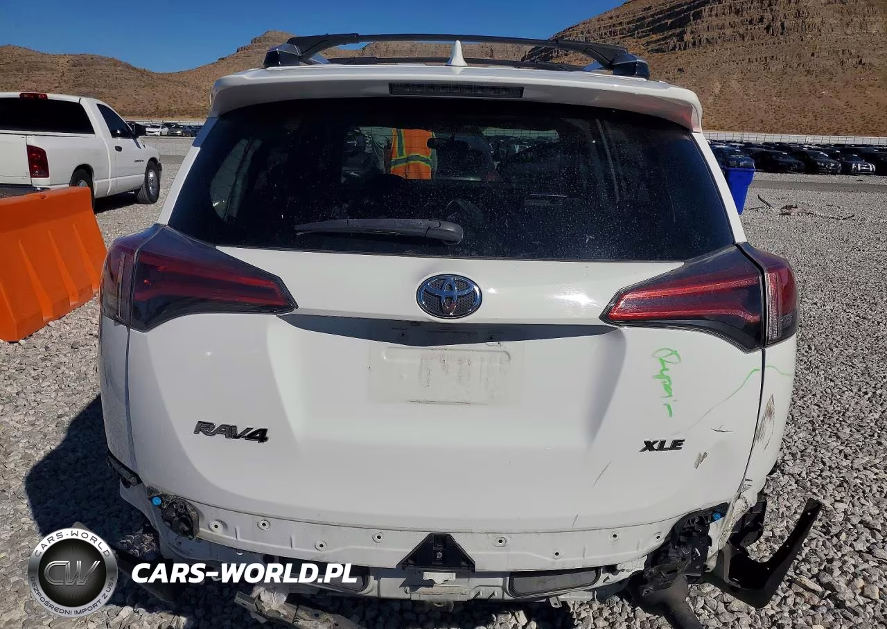 2016 Toyota Rav4 Xle VIN:2T3WFREV5GW265343 - 6