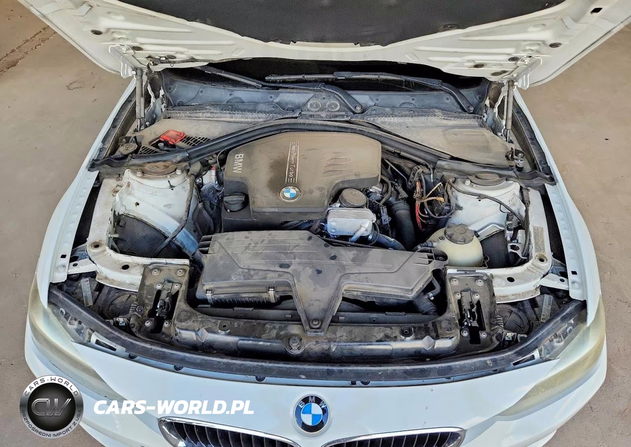 2013 BMW 320 I VIN:WBA3B1C59DF462304 - 11