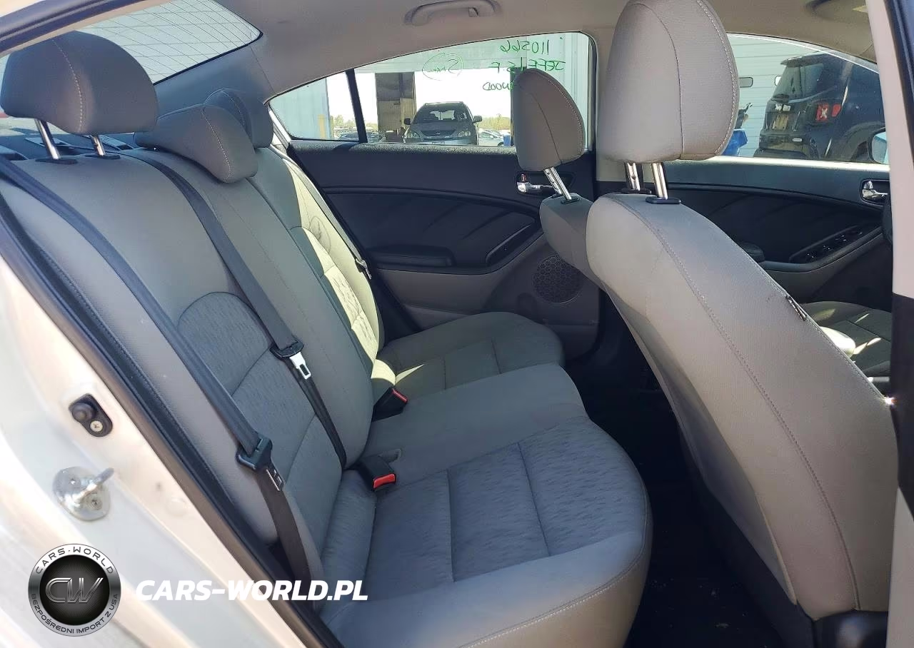 2014 Kia Forte Lx VIN:KNAFK4A67E5145929 - 10