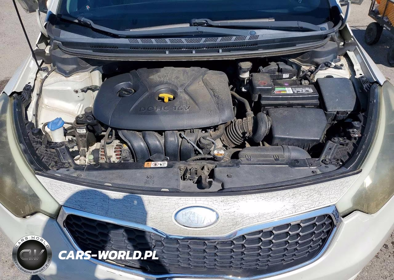 2014 Kia Forte Lx VIN:KNAFK4A67E5145929 - 11