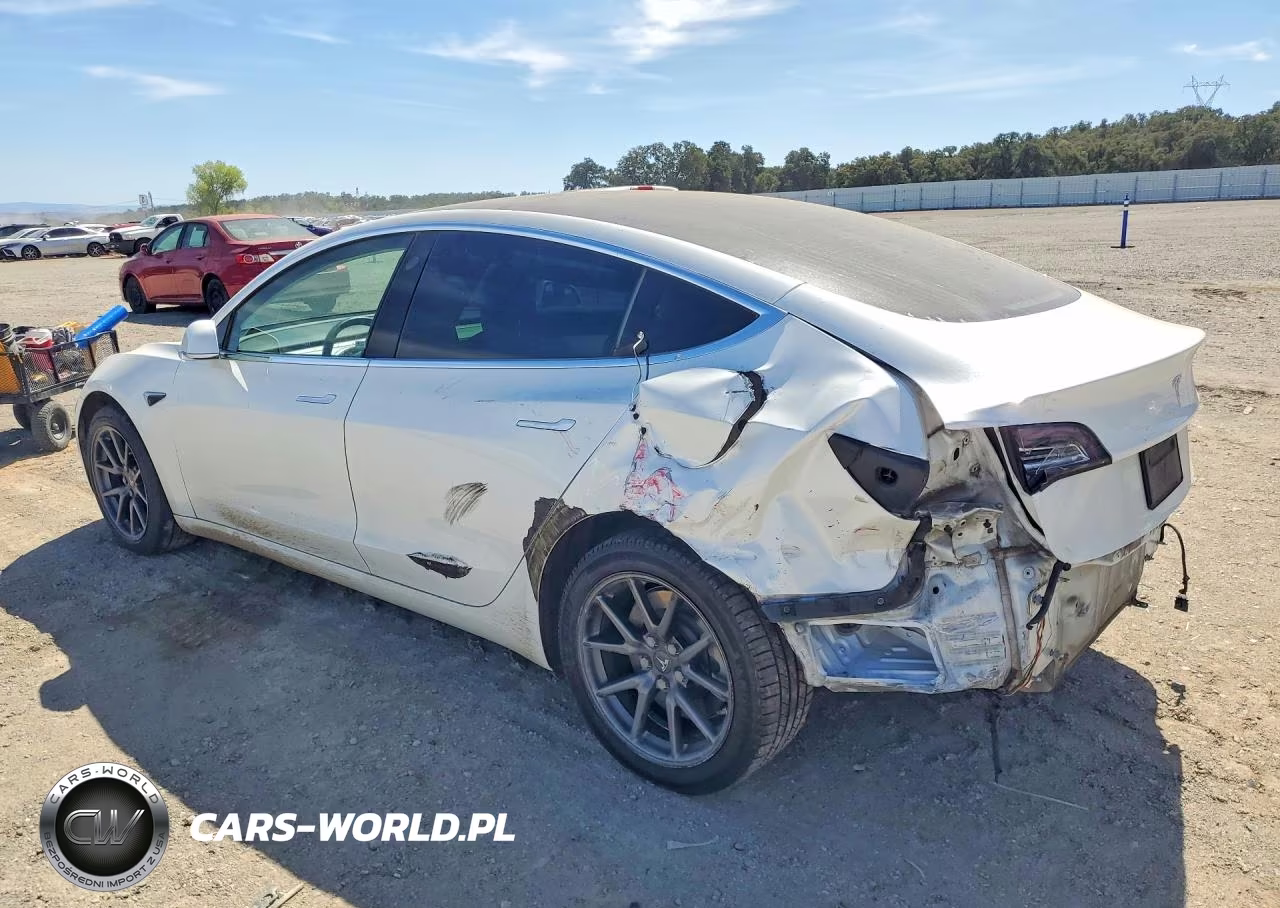 2020 Tesla Model 3 VIN:5YJ3E1EA2LF717950 - 2
