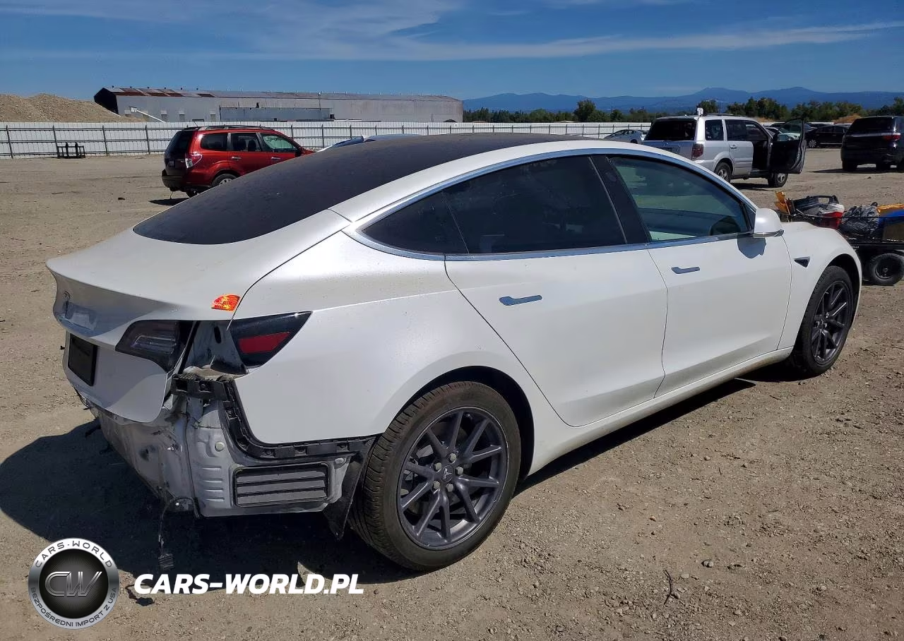 2020 Tesla Model 3 VIN:5YJ3E1EA2LF717950 - 3