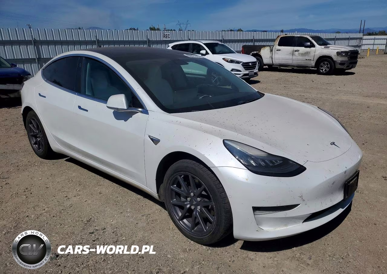 2020 Tesla Model 3 VIN:5YJ3E1EA2LF717950 - 4