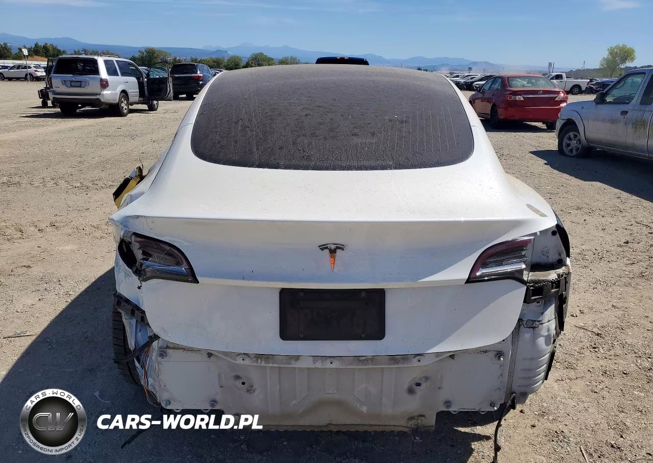 2020 Tesla Model 3 VIN:5YJ3E1EA2LF717950 - 6