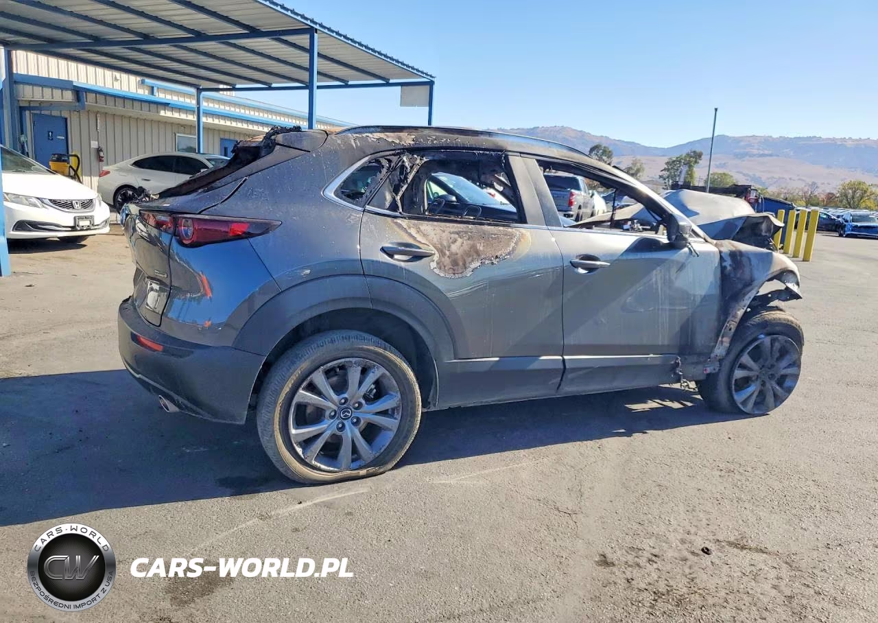 2025 Mazda Cx-30 Preferred VIN:3MVDMBCM3SM829160 - 3