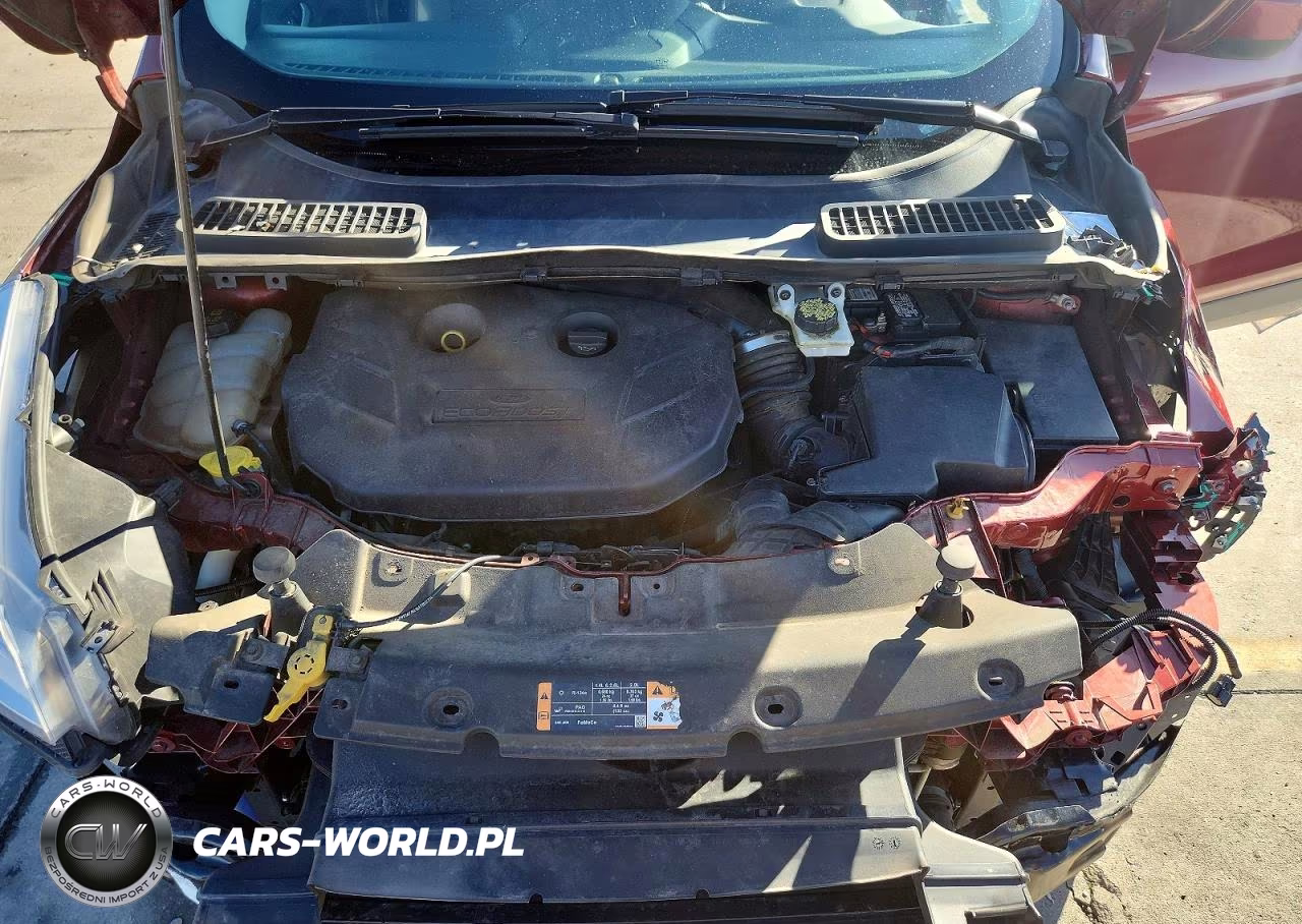2016 Ford Escape Se VIN:1FMCU9G93GUB37698 - 12