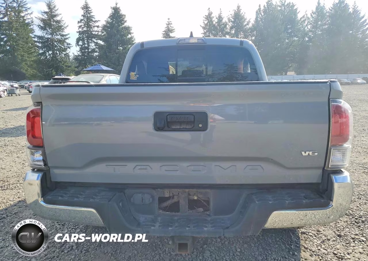 2020 Toyota Tacoma Trd Off-Road VIN:5TFCZ5AN3LX237961 - 6