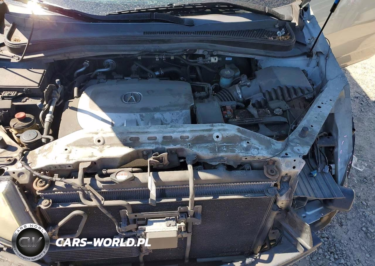 2010 Acura Mdx Advance VIN:2HNYD2H55AH527736 - 12