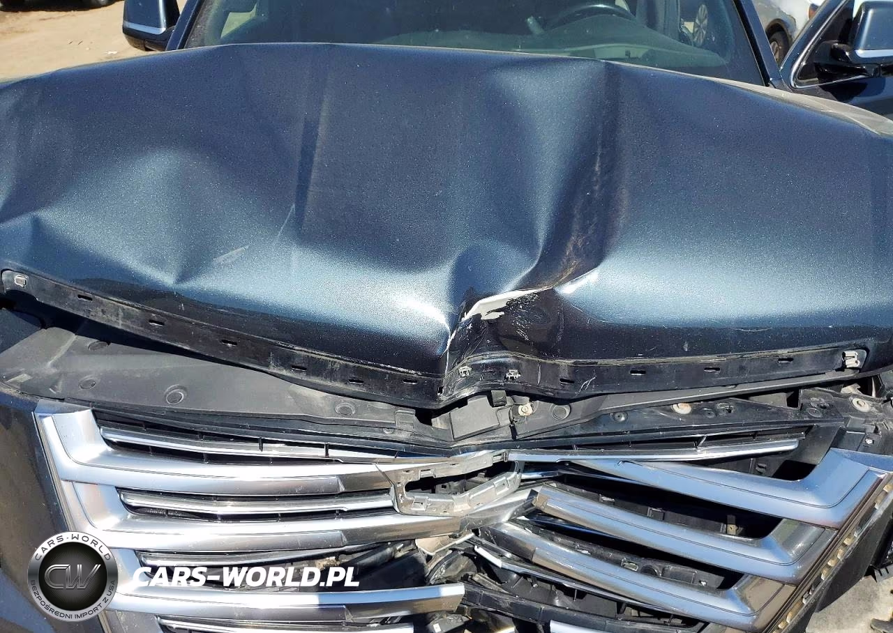 2019 Cadillac Escalade Platinum VIN:1GYS4DKJ4KR196060 - 12