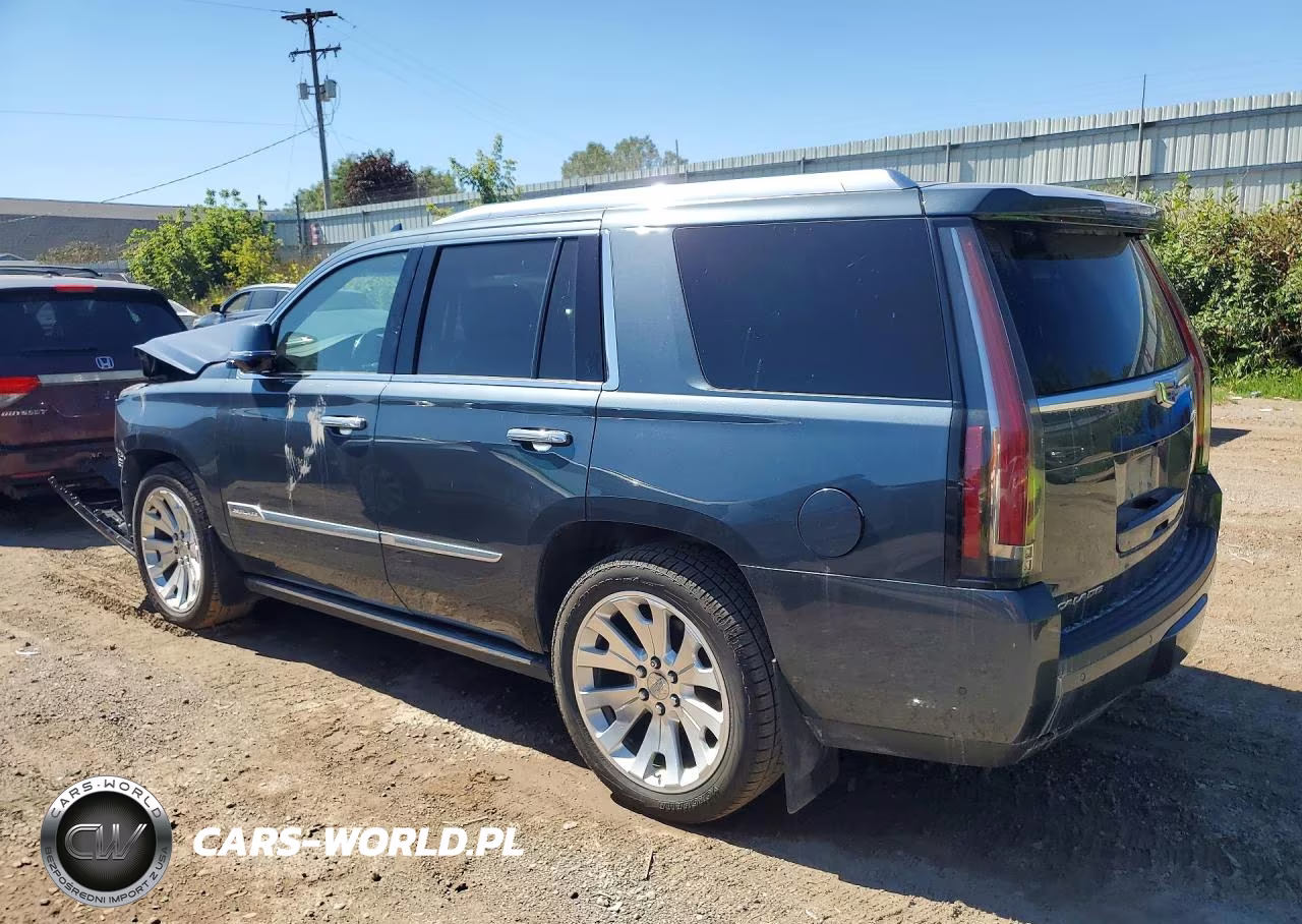 2019 Cadillac Escalade Platinum VIN:1GYS4DKJ4KR196060 - 2