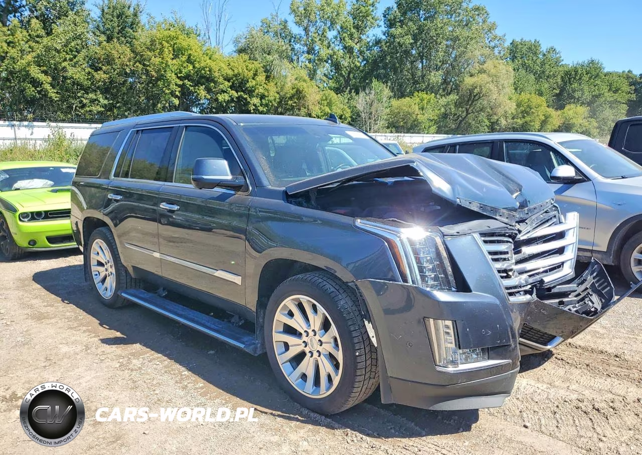 2019 Cadillac Escalade Platinum VIN:1GYS4DKJ4KR196060 - 4