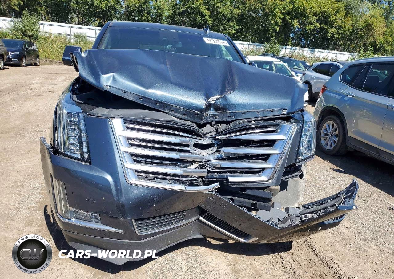2019 Cadillac Escalade Platinum VIN:1GYS4DKJ4KR196060 - 5