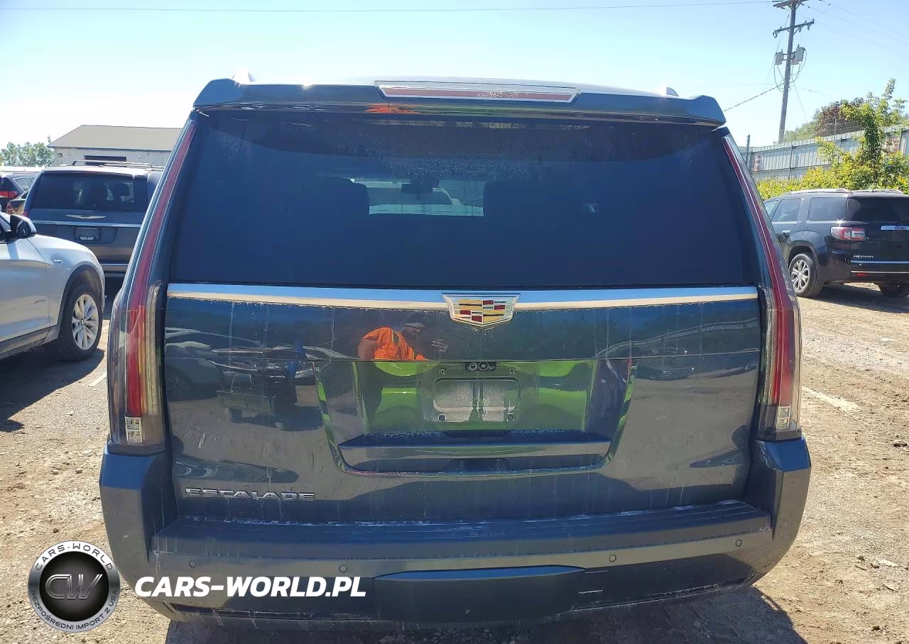 2019 Cadillac Escalade Platinum VIN:1GYS4DKJ4KR196060 - 6