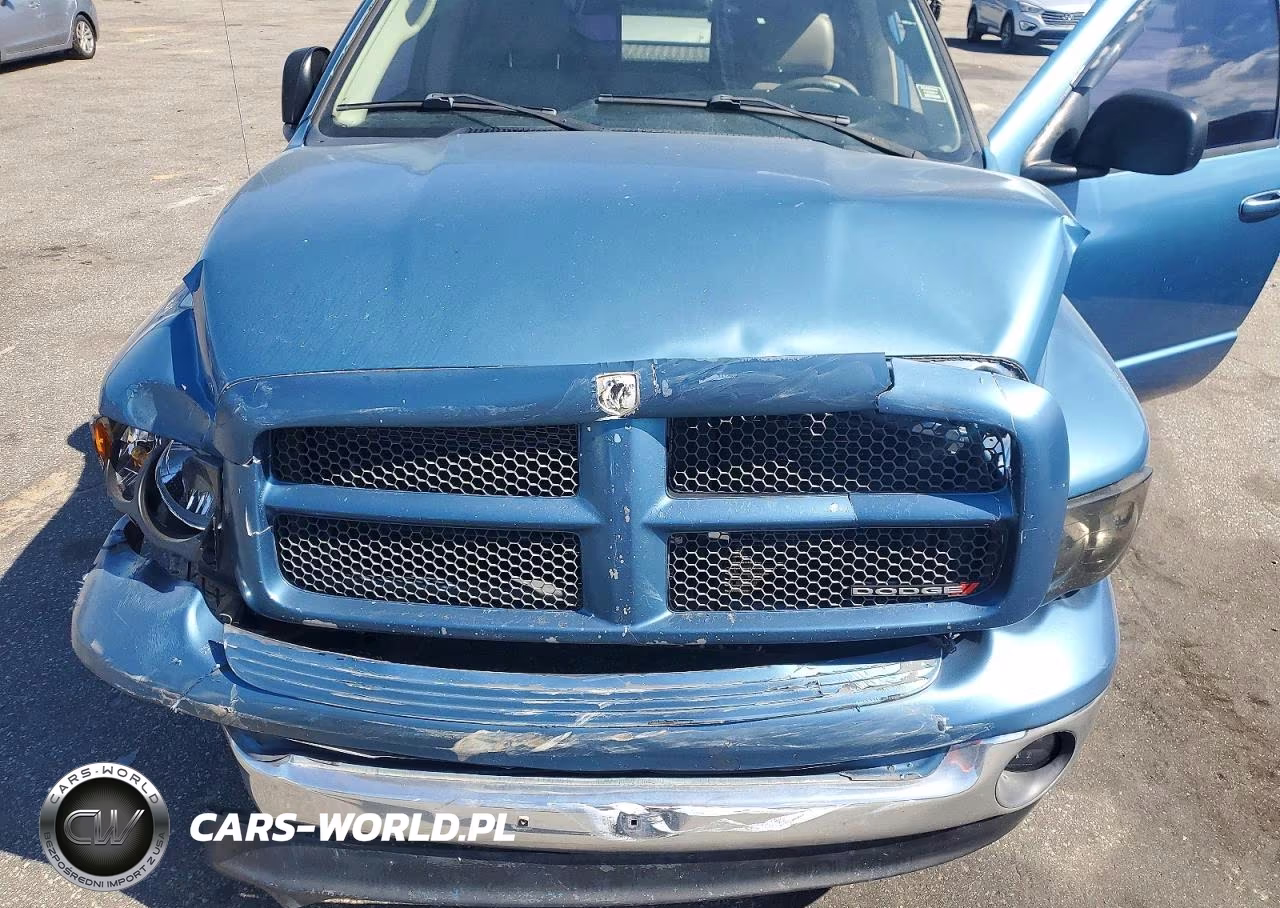 2003 Dodge Ram 1500 St VIN:1D7HA16N63J595076 - 11