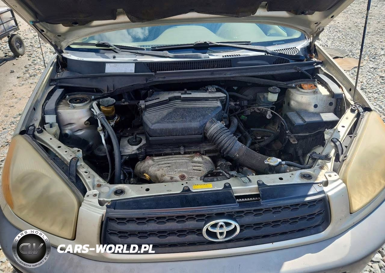 2002 Toyota Rav4 Base VIN:JTEGH20V120051262 - 12