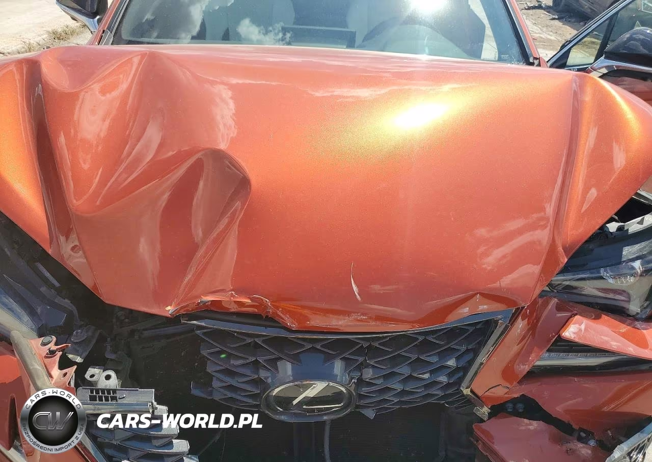 2020 Lexus Nx 300 F Sport VIN:JTJSARBZ6L2166616 - 12