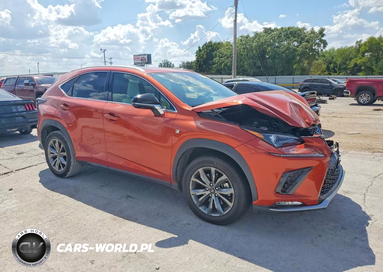 2020 Lexus Nx 300 F Sport VIN:JTJSARBZ6L2166616 - 4