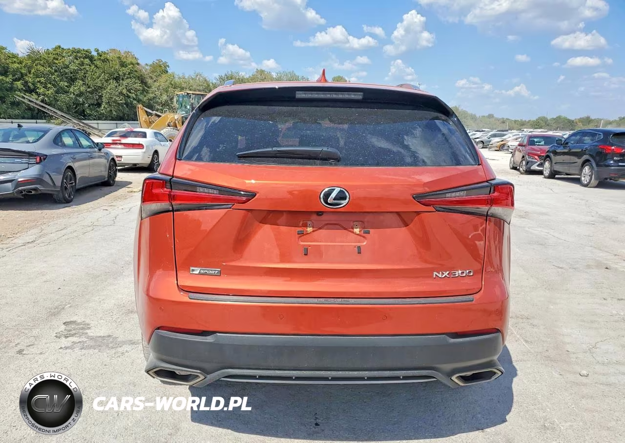2020 Lexus Nx 300 F Sport VIN:JTJSARBZ6L2166616 - 6