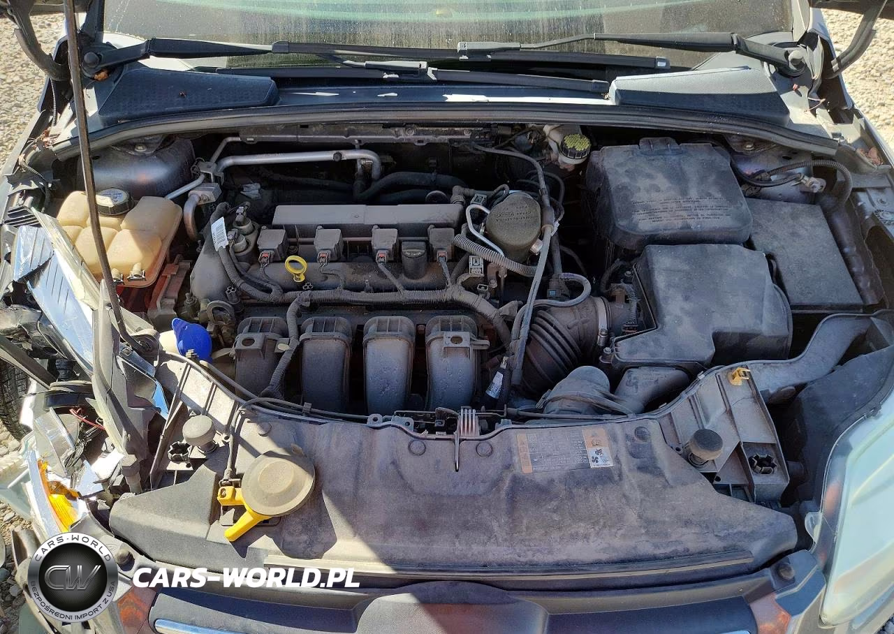 2014 Ford Focus Se VIN:1FADP3F26EL407100 - 11