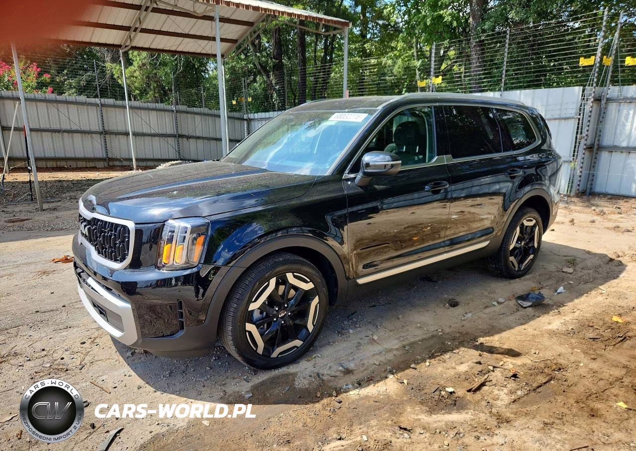 2024 Kia Telluride Ex VIN:5XYP34GC2RG520947 - 1