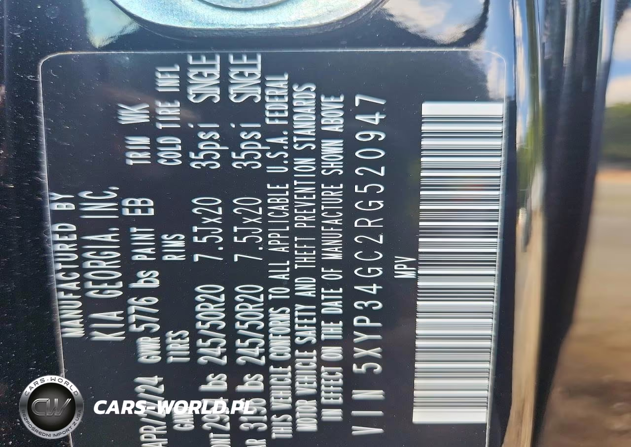 2024 Kia Telluride Ex VIN:5XYP34GC2RG520947 - 13