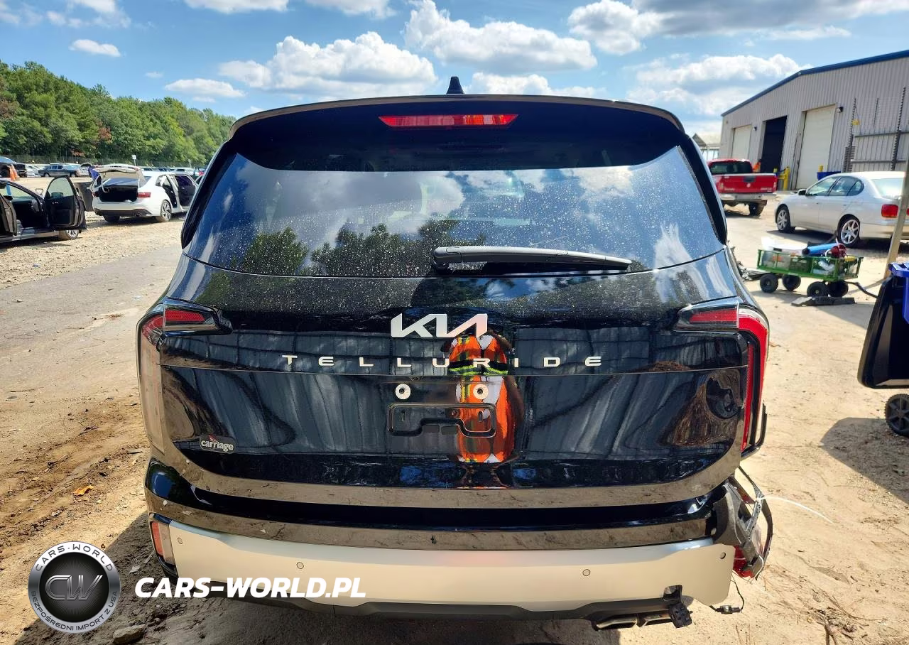 2024 Kia Telluride Ex VIN:5XYP34GC2RG520947 - 6