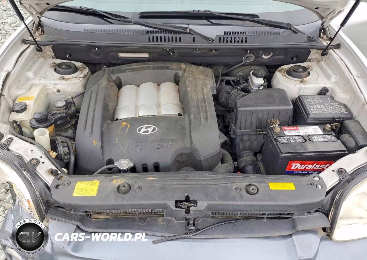 2005 Hyundai Santa Fe Gls VIN:KM8SC73D95U945693 - 12