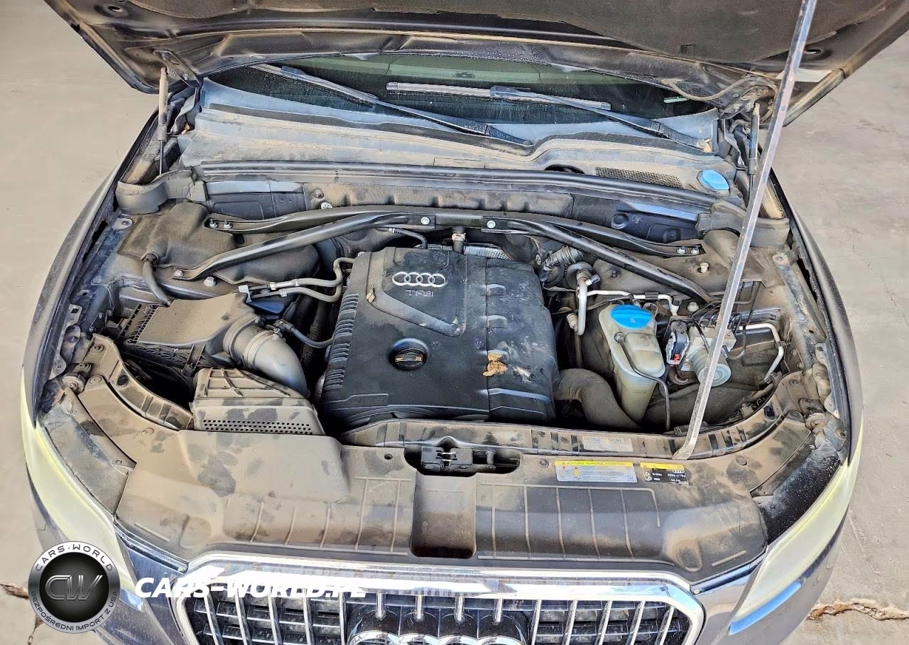 2013 Audi Q5 Premium Plus VIN:WA1LFAFP2DA101329 - 12
