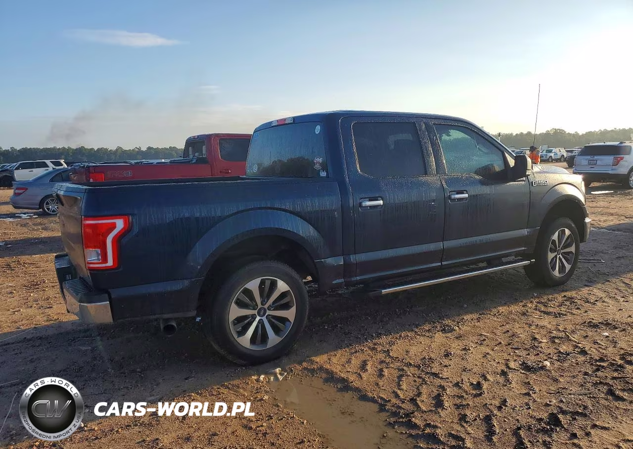 2017 Ford F150 Supercrew VIN:1FTEW1CP5HKC44925 - 3