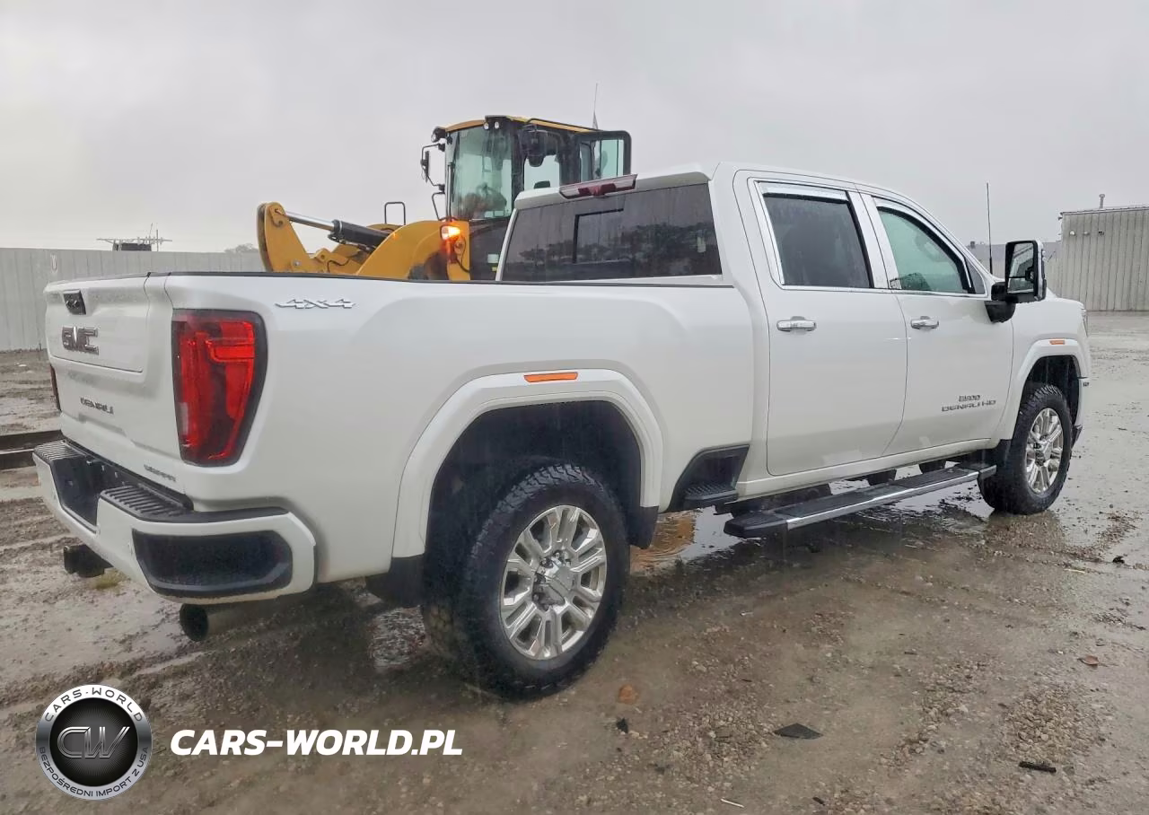 2023 GMC Sierra K3500 Denali VIN:1GT49WEY8PF251221 - 3