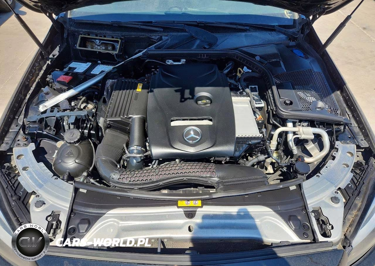 2018 Mercedes-Benz C 300 VIN:55SWF4JB6JU253454 - 11