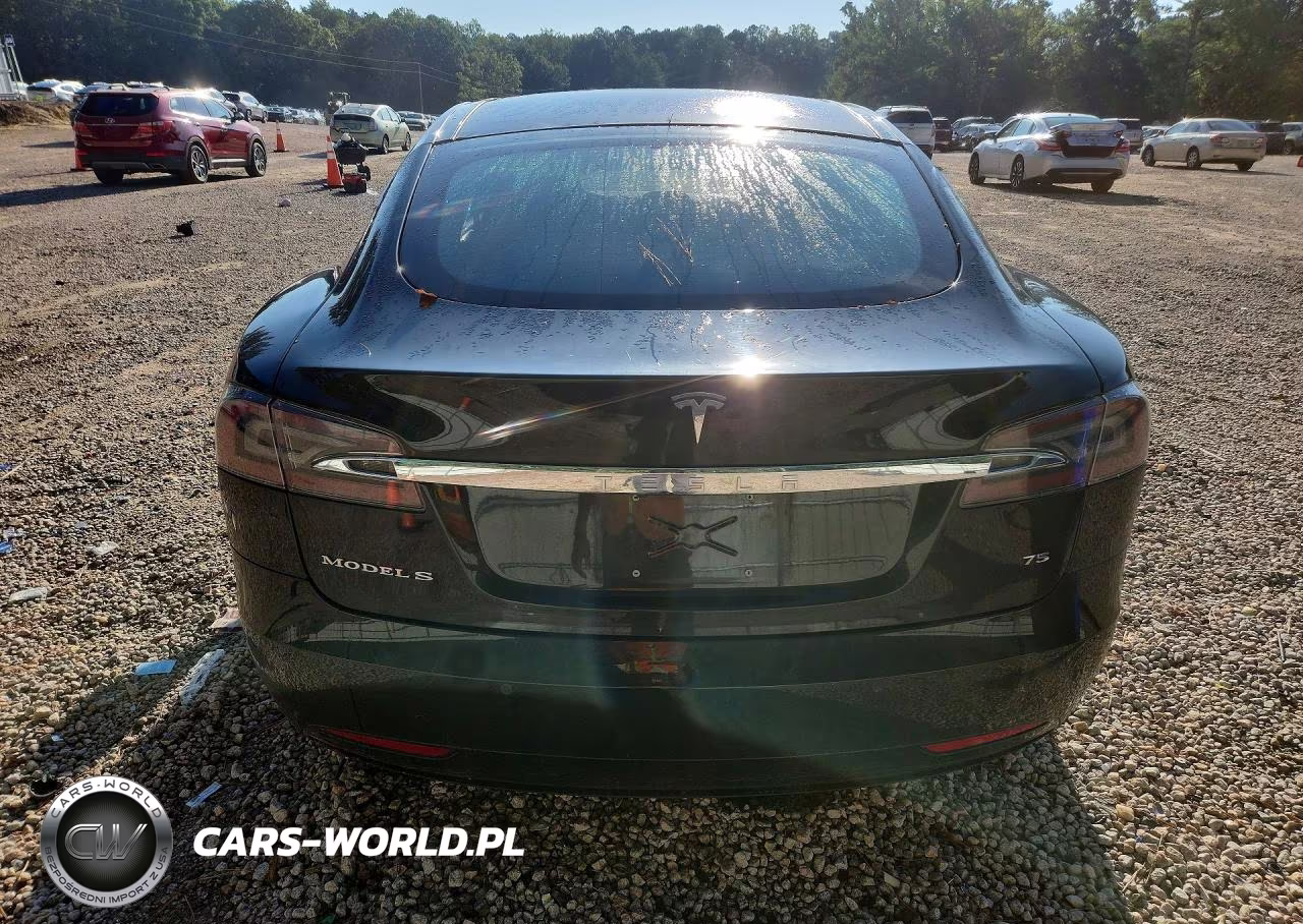 2016 Tesla Model S VIN:5YJSA1E11GF154919 - 6