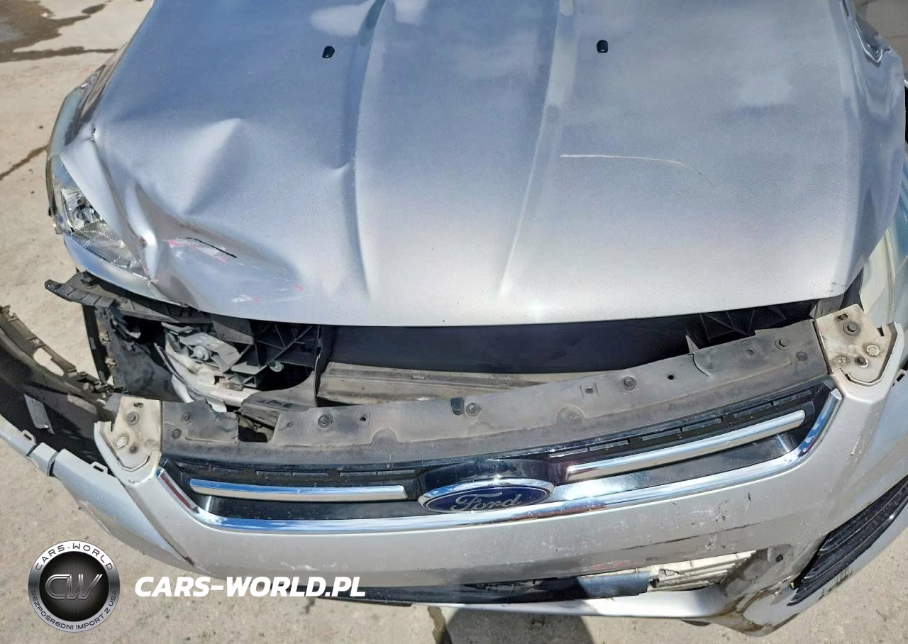 2013 Ford Escape Sel VIN:1FMCU0H97DUD02867 - 11