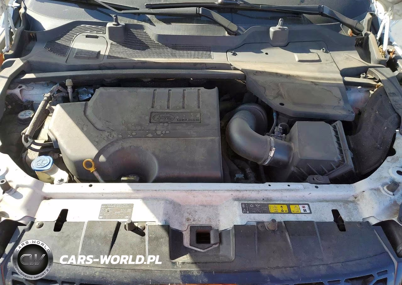 2019 Land Rover Discovery Sport Se VIN:SALCP2FX9KH791585 - 11